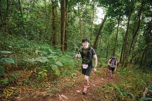 BIB: 14678
                            <button type="button" onclick="openModal(22481289)" class="btn btn-primary btn-sm float-right btn-popup" data-toggle="modal" data-target=".modal-high-quality">
                        <i class="fas fa-shopping-cart"></i> Add to Cart
                    </button>
                                            <button type="button" onclick="isThisMe(22481289, true)" class="btn btn-success btn-sm float-right btn-popup btn-isme hidden" data-toggle="tooltip" data-placement="bottom" title="นี่คือรูปของคุณใช่ไหม คลิกที่นี่เพื่อเอาเข้าอัลบั้ม">
                        <i class="fas fa-plus"></i> Add to album
                    </button>
                    <button type="button" onclick="isThisMe(22481289, false)" class="btn btn-warning btn-sm float-right btn-popup btn-isnotme hidden">
                        <i class="fas fa-ban"></i> Remove from album
                    </button>